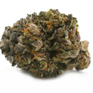 Buy Gucci Pink Cannabis Online